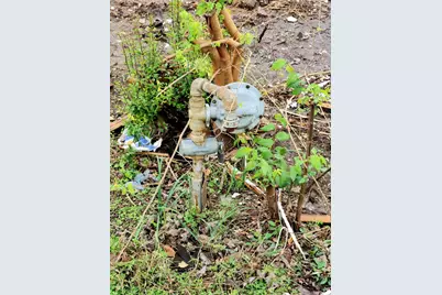 1001 S Medora Street, Terrell, TX 75160 - Photo 4