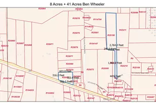 2050 W State Hwy 64 Hwy, Ben Wheeler, TX 75754 - Photo 12