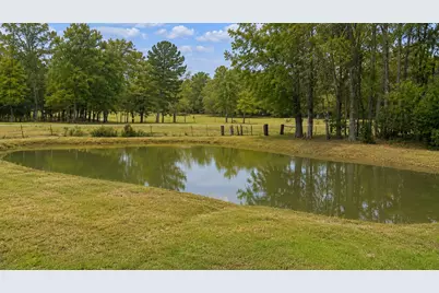 2050 W State Highway 64 Highway, Ben Wheeler, TX 75754 - Photo 4
