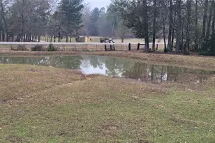 2050 W State Hwy 64 Hwy, Ben Wheeler, TX 75754 - Photo 6