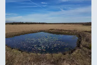 3500 Fm 2456, Ladonia, TX 75449 - Photo 4