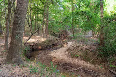 13612 County Road 3900, Athens, TX 75752 - Photo 4