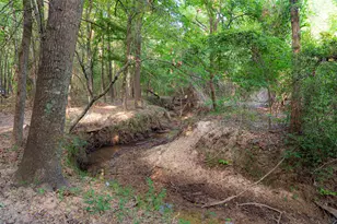 13612 Co Rd 3900, Athens, TX 75752 - Photo 4