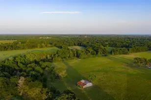 13612 Co Rd 3900, Athens, TX 75752 - Photo 2