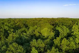 13612 Co Rd 3900, Athens, TX 75752 - Photo 40
