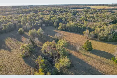 13612 County Road 3900, Athens, TX 75752 - Photo 8