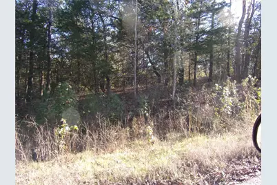 000 Woodcreek Drive, Murchison, TX 75778 - Photo 1