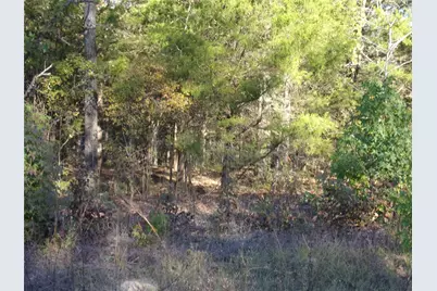 000 Woodcreek Drive, Murchison, TX 75778 - Photo 4