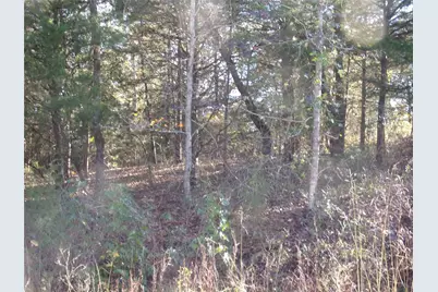 000 Woodcreek Drive, Murchison, TX 75778 - Photo 2