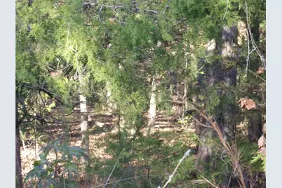 000 Woodcreek Drive, Murchison, TX 75778 - Photo 6