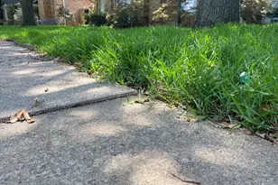 908 McCoy Dr, Irving, TX 75062 - Photo 38