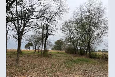 Tbd Fm 1652, Grand Saline, TX 75140 - Photo 4