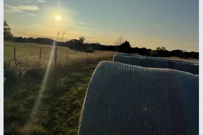 Tbd County Road 3827, Wills Point, TX 75169 - Photo 14