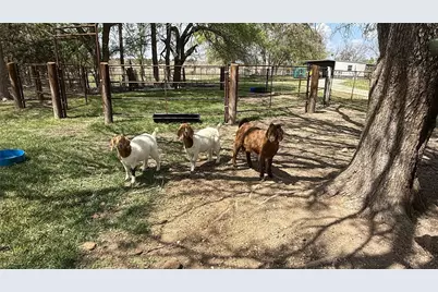 12845 Highway 6, Iredell, TX 76649 - Photo 26