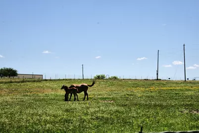 12845 Highway 6, Iredell, TX 76649 - Photo 6