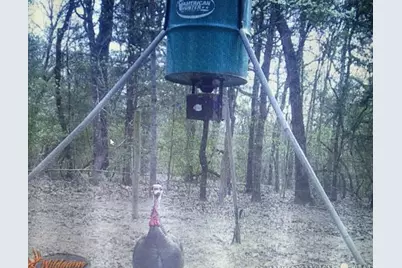 8910 Hwy 59 Highway, Athens, TX 75751 - Photo 18