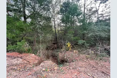 224,208 E Cherokee, Bullard, TX 75757 - Photo 18