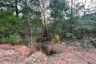 224 208 E Cherokee, Bullard, TX 75757 - Photo 18