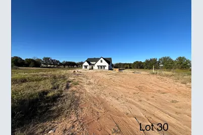 320 Jonny Boy Way, Springtown, TX 76082 - Photo 4
