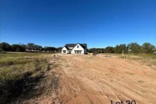 320 Jonny Boy Wy, Springtown, TX 76082 - Photo 4