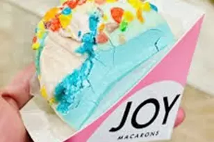 617 Haines Ave, Dallas, TX 75208 - Photo 24