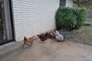 2708 Foxcroft Cir, Denton, TX 76209 - Photo 30