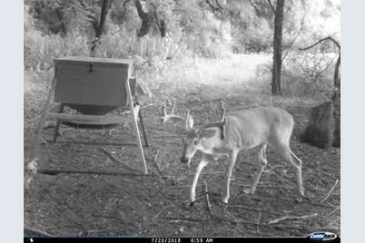 Tbd Fm-1304, Aquilla, TX 76622 - Photo 38