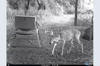 Tbd Fm-1304, Aquilla, TX 76622 - Photo 38