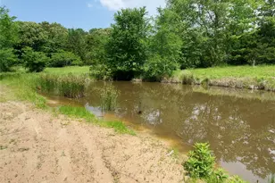 1156 RS County Road 1140, Emory, TX 75440 - Photo 8