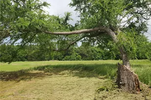 1156 RS County Road 1140, Emory, TX 75440 - Photo 8