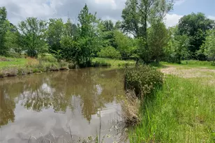 1156 RS County Road 1140, Emory, TX 75440 - Photo 6
