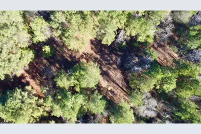 Tbd Fm 130, Hughes Springs, TX 75656 - Photo 8