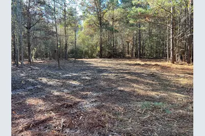 Tbd Fm 130, Hughes Springs, TX 75656 - Photo 2