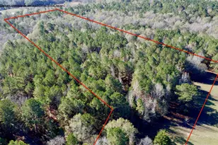 Tbd Cr 2921, Hughes Springs, TX 75656 - Photo 2