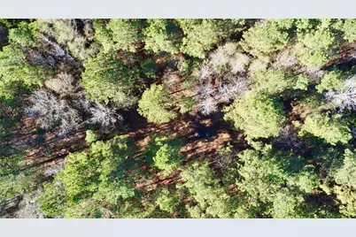 Tbd Cr 2921, Hughes Springs, TX 75656 - Photo 1