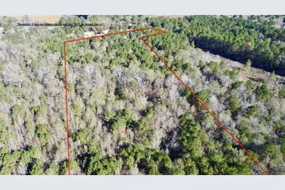 Tbd Cr 2921, Hughes Springs, TX 75656 - Photo 4