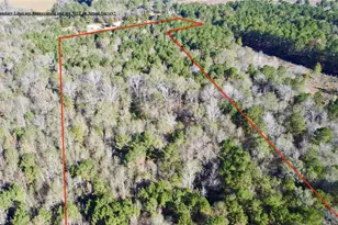 Tbd Cr 2921, Hughes Springs, TX 75656 - Photo 4