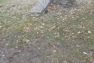 1309 S 5th St, Bonham, TX 75418 - Photo 8