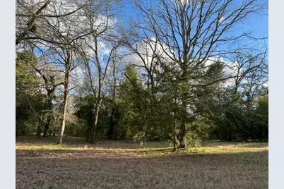 Tdb Cr 2307, Mineola, TX 75773 - Photo 4