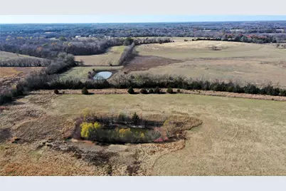 Tbd Pilot Grove Road, Whitewright, TX 75491 - Photo 12