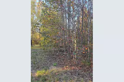 3 Acres Tbd County Road 3117, Clarksville, TX 75426 - Photo 6