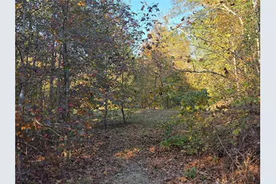 3 Acres Tbd County Road 3117, Clarksville, TX 75426 - Photo 4