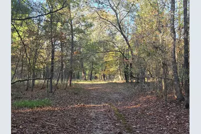 3 Acres Tbd County Road 3117, Clarksville, TX 75426 - Photo 10