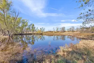 490 Old Mart Lake Rd, Mart, TX 76664 - Photo 4