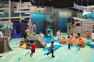 629 Verona Dr, Weston, TX 75009 - Photo 34