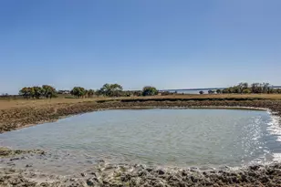 15675 Co Rd 4024, Kemp, TX 75143 - Photo 28