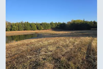 42Acres Fm 38 Tx, Honey Grove, TX 75446 - Photo 8