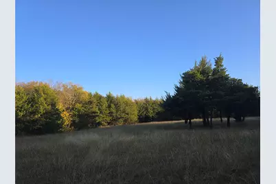 42Acres Fm 38 Tx, Honey Grove, TX 75446 - Photo 14