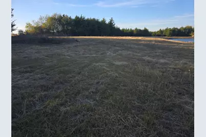 42Acres Fm 38 Tx, Honey Grove, TX 75446 - Photo 10