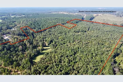 Tbd Cr 1579, Avinger, TX 75630 - Photo 6